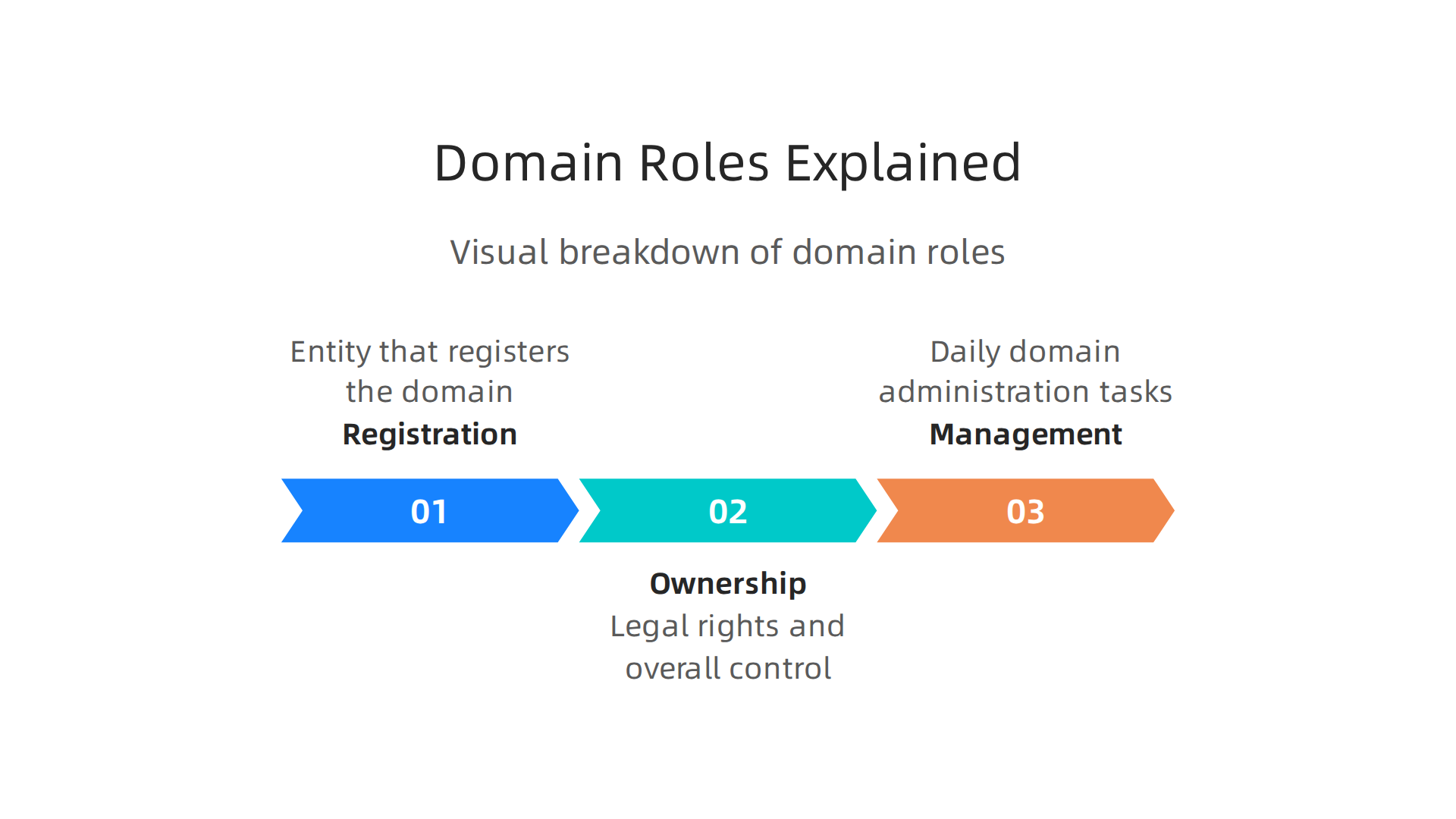 A visual breakdown explaining the distinct roles of domain registration, ownership, and day-to-day management.