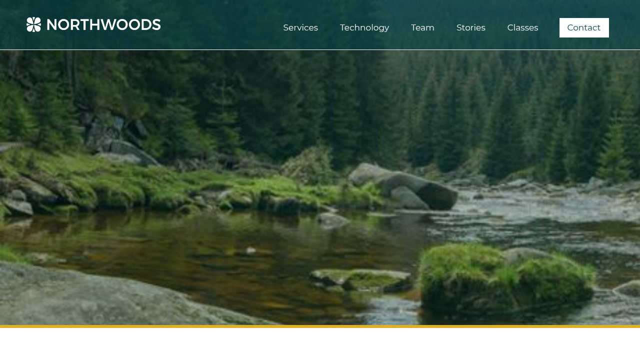 A screenshot of Northwoods' website, illustrating contemporary web design trends like minimalism and intentional white space, as discussed in the article.